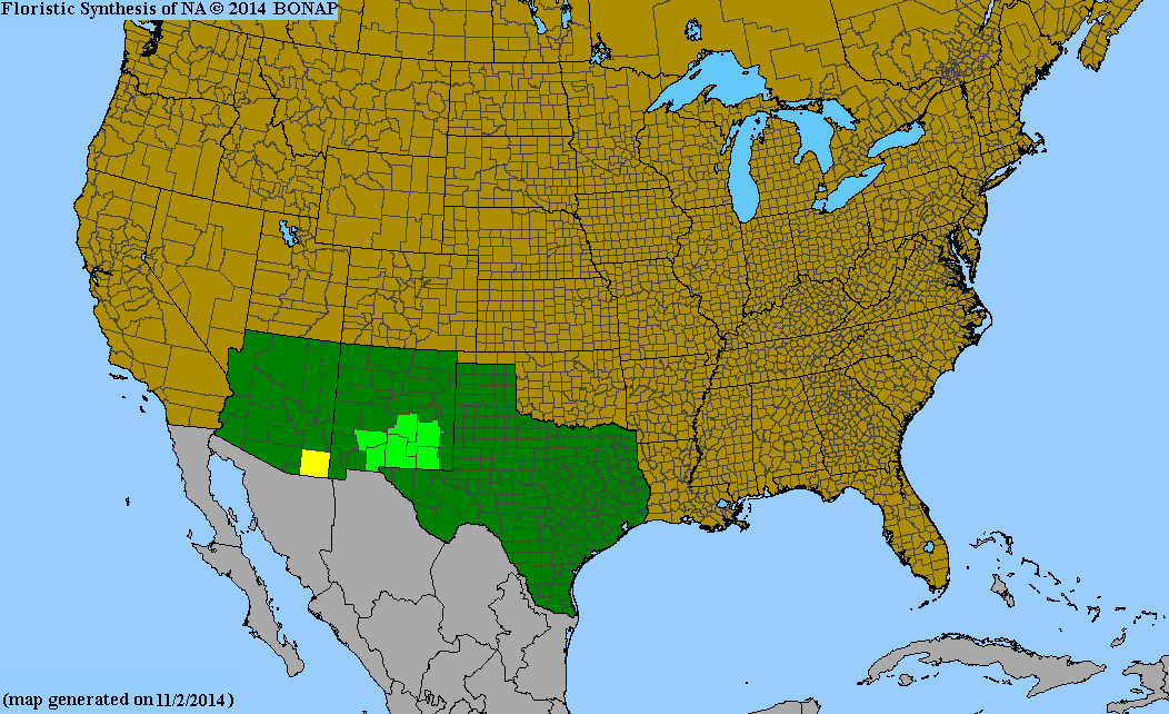 County distribution map of Hedeoma costata var. pulchella - Ribbed False Pennyroyal